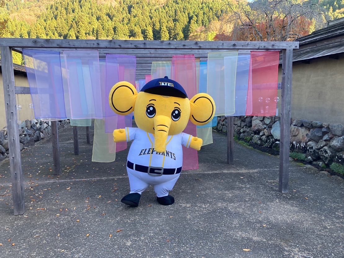 nexuselephants's tweet photo. 🐘福井県の観光地🟡

#一乗谷朝倉氏遺跡復原町並 に行ってきました！
戦国時代に朝倉氏5代103年にわたり越前の国を支配し、栄華を極めた城下町跡は、町並みがほぼ完全な姿で発掘・再現👀
インスタ映えスポットもあるのでぜひ一度お立ち寄りください📷

#福井県 #観光地 #観光名所 https://t.co/qwfHmJN80S