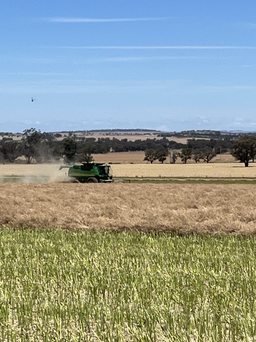 Deb Charlton tweet media