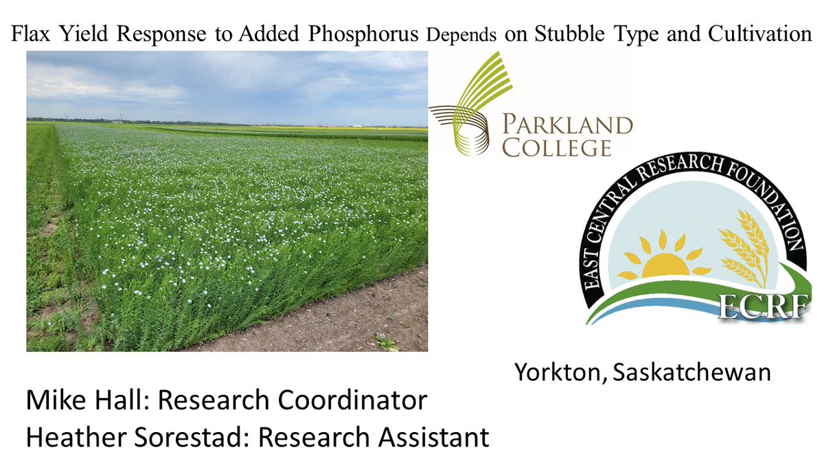 ECRF-Mike Hall (@nesonisto) on Twitter photo New Video: Flax Yield Response to Added Phosphorus Depends on Stubble Type and Cultivation.  youtube.com/watch?v=ntHG18…
This demo was funded by <a href="/SKAgriculture/">Sask Agriculture</a> 
<a href="/SaskFlax/">SaskFlax</a> New Video: Flax Yield Response to Added Phosphorus Depends on Stubble Type and Cultivation.  youtube.com/watch?v=ntHG18…
This demo was funded by <a href="/SKAgriculture/">Sask Agriculture</a> 
<a href="/SaskFlax/">SaskFlax</a>