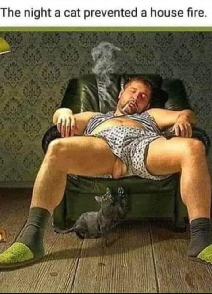 Florida Barbie☀️🐊 tweet media