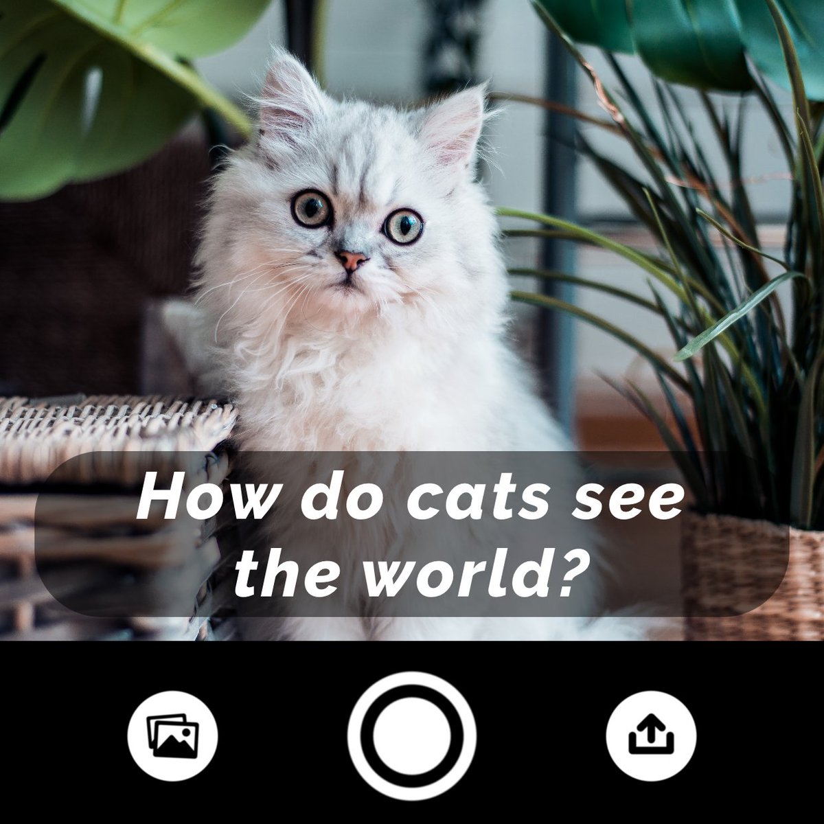 ennomnom's tweet photo. Link: https://t.co/U9FgCUn3GT 🔥Hot app?🔥 #app #apps #application #appleiphone #appdesign #appstore #applestore #apprentice #iphonegame #mobilegame #mobilegamer #mobilegamers #mobilegamedev #mobilegamedevelopment #mobilegamedeveloper #trend #trendy #trending #trends https://t.co/DMGeFqDoeN