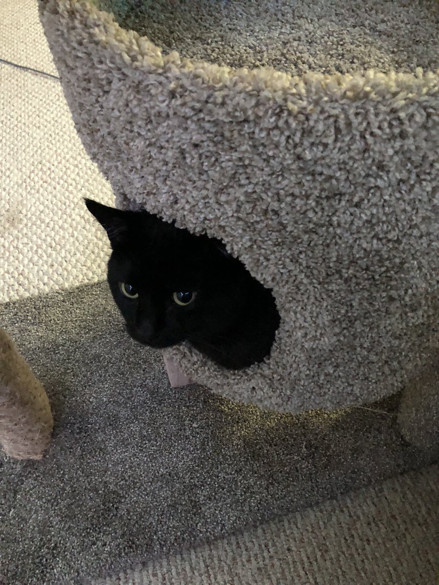 Kind of late in the day to say buuuuut Happy Thanksgiving WOOOO 🦃