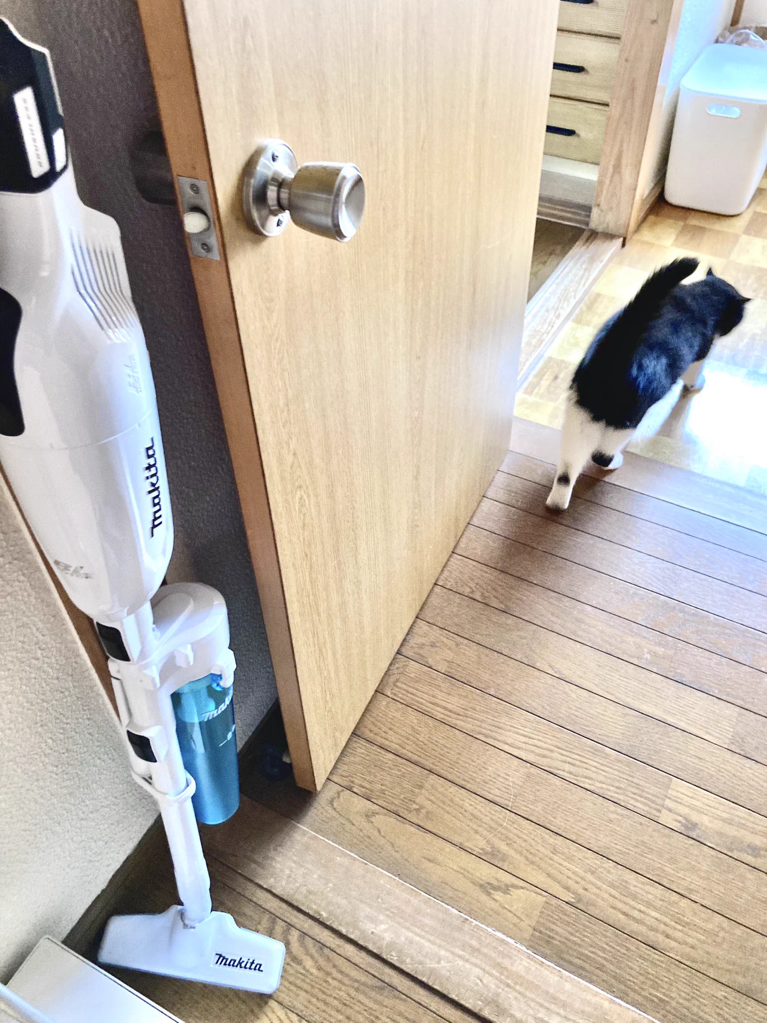 @kyuryuZ うちは文句言いにきます笑
掃除機やめたら、勘弁してやらぁの図 