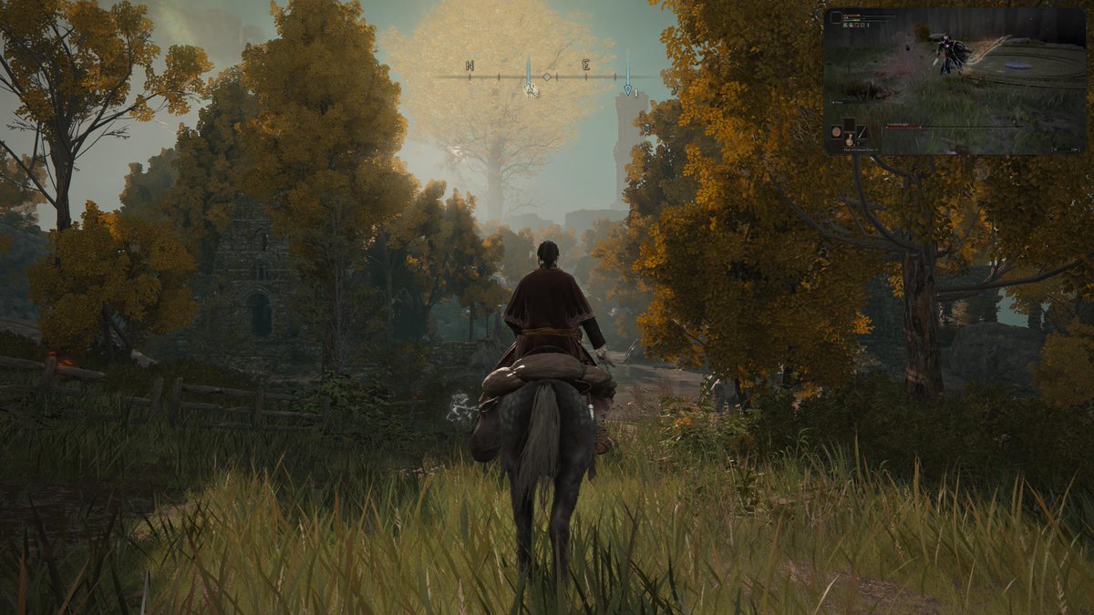 pronaxic's tweet photo. My GOTY #PS5Share, #ELDENRING https://t.co/b2DCb5qBcR