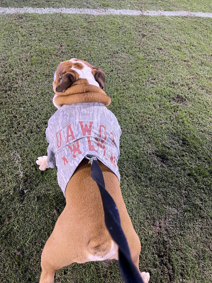BullyXXI's tweet photo. DAWGS WIN AGAIN!!!!!!!#trophycominghome @MossyOak @HailStateFB @hailstatestyle https://t.co/OxGQj9qGKR