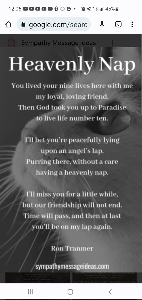 Richard Slammer tweet media