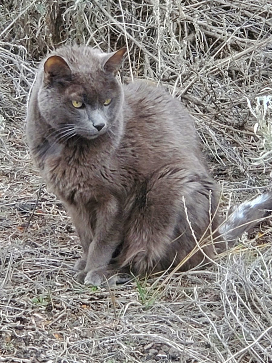 Richard Slammer tweet media