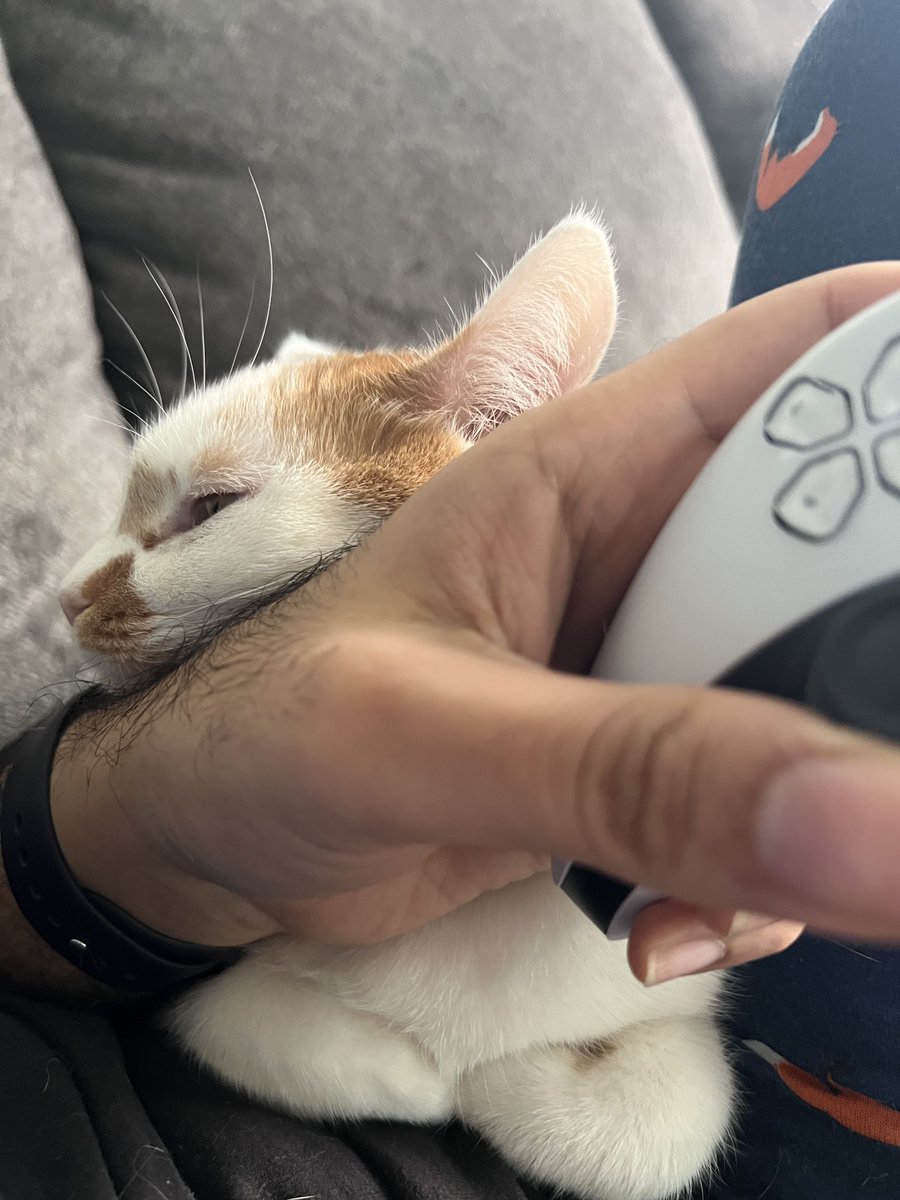 Tamoor Hussain on Twitter "If I play games she rests her head on my