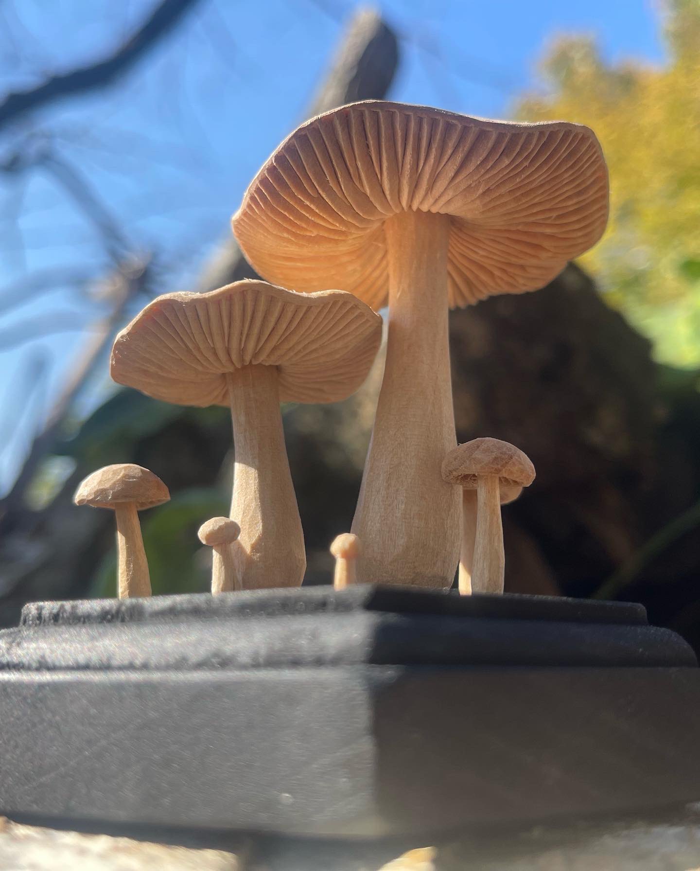 小島秋彦 シナノキ アクリルペイント マッシュルームスタンド 木彫り