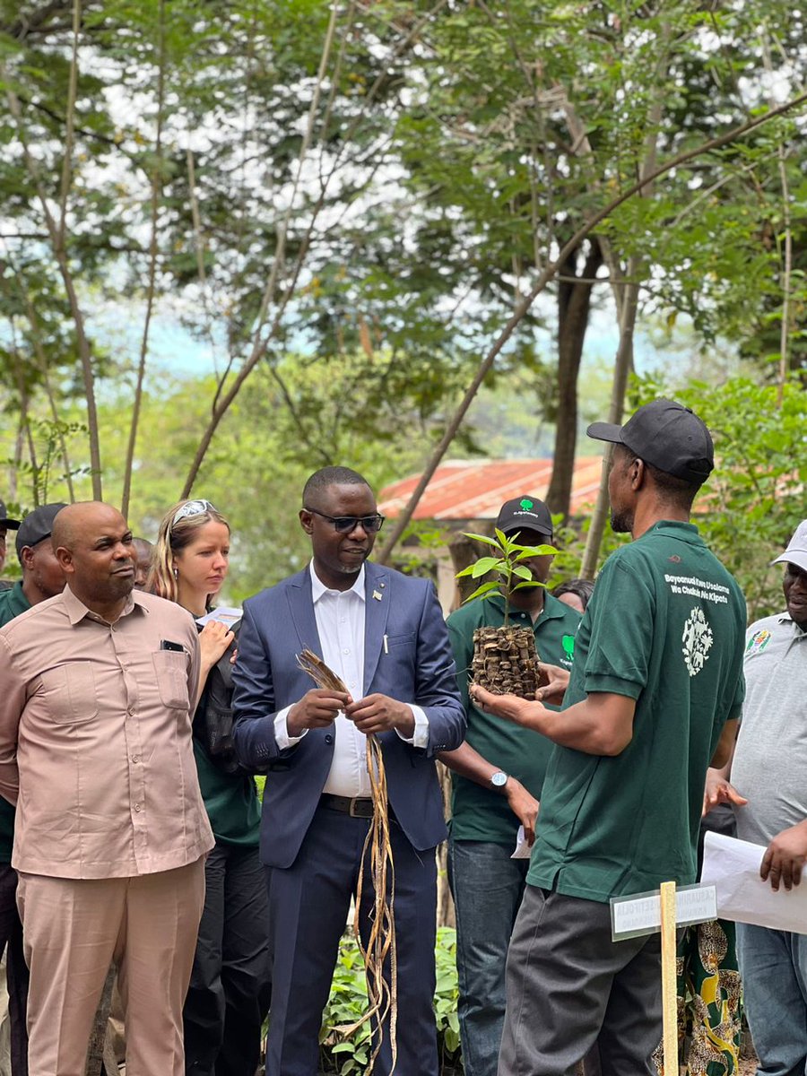 ANSAFForum's tweet photo. Siku ya kwanza ya maonyesho ya mwaka ya kilimo mseto 2022 Musoma, Tanzania Kwenye picha ni Mh Mgeni Rasmi Eng. Juma Mdeke, Mkurugenzi wa matumizi na mipango ya Ardhi, wizara ya kilimo akipita katika mabanda ya wakulima na mashamba ya mfano
#kilimomseto #maonyeshomusoma https://t.co/312kjGt6gG