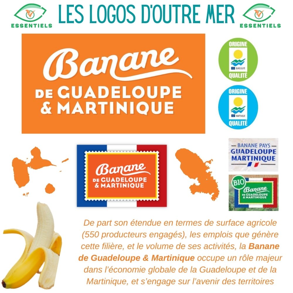Découvrez les labels de la banane française 🍌 🇨🇵 🍌 🇨🇵, la banane de Guadeloupe 🇬🇵 et de Martinique 🇲🇶. C'est un secteur clé de l'économie des Antilles. <a href="/BananeFrancaise/">🍌 Banane de Guadeloupe & Martinique</a> @lesoutremer <a href="/Agri_Gouv/">Ministère Agriculture et Souveraineté alimentaire</a> <a href="/ChambAgri971/">Chambre Agriculture Guadeloupe</a>