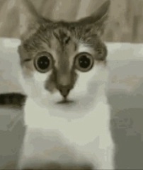 // I feel like this is how ghost stares at gaz during long car rides 
Like

The mf doesn’t blink