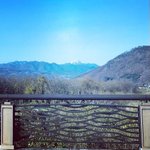 ツイートに含まれる画像