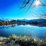 ツイートに含まれる画像