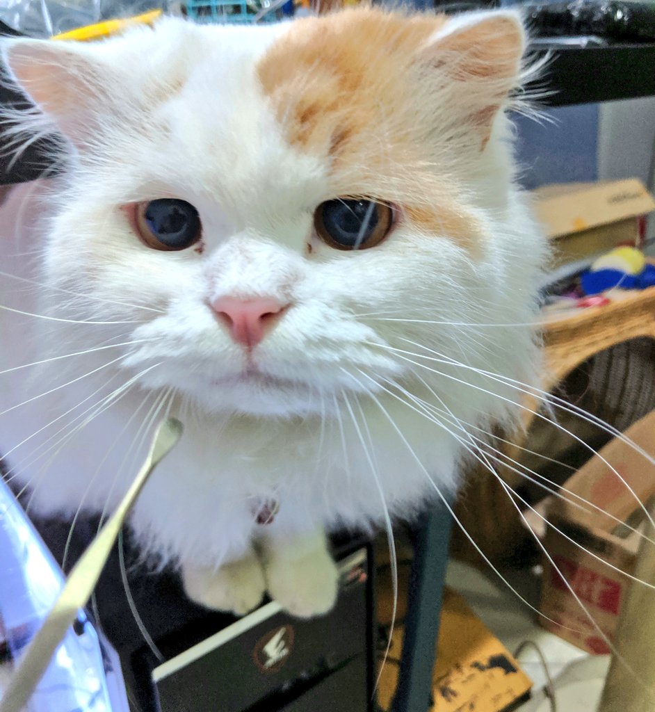 cikukucing's tweet image. Jangan lupa bersedih kawan 👍🏻