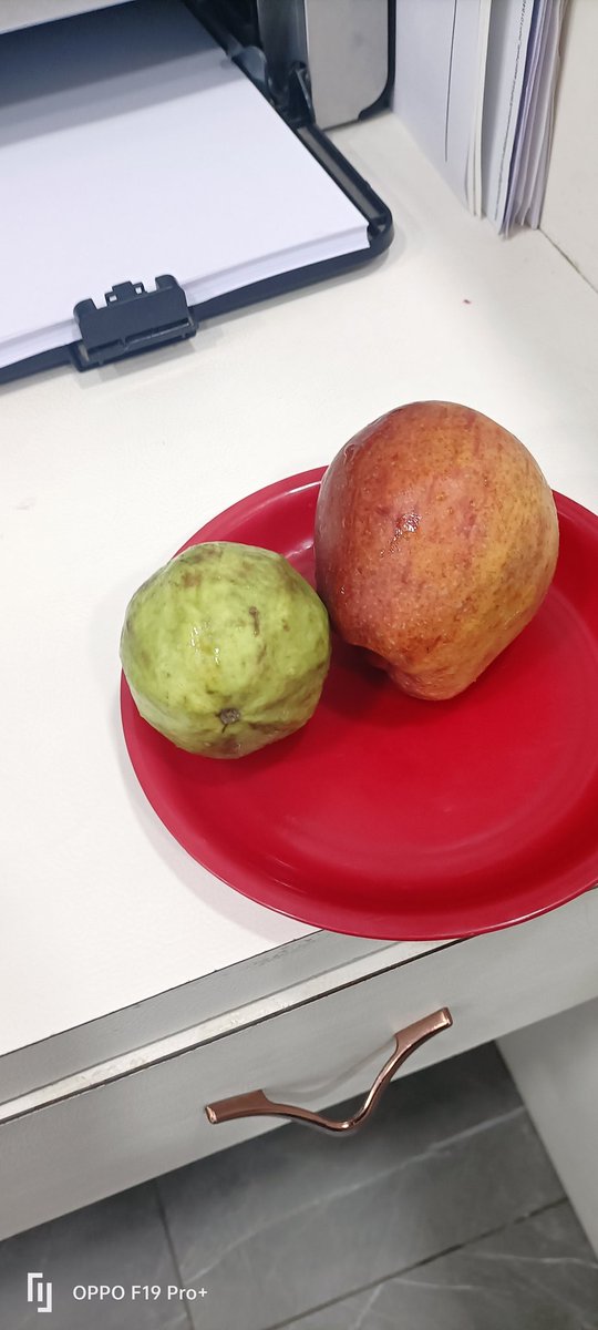 hitesh_AVD's tweet image. Kha lo dosto fruits . 🍎 🍏. 🤤 😋

#fruitsbasket #fruitchat