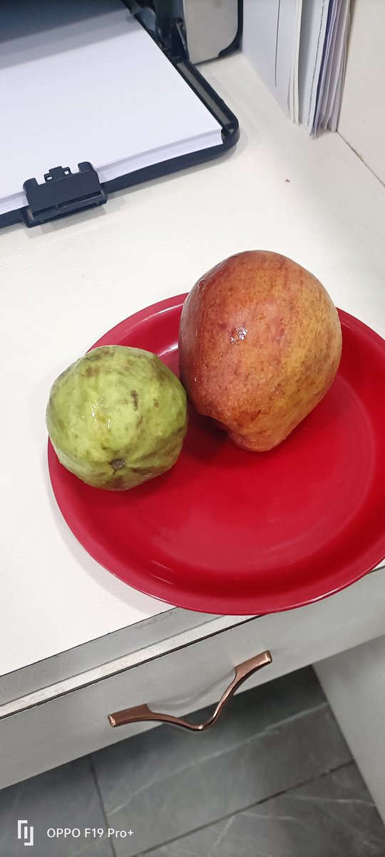 hitesh_AVD's tweet image. Kha lo dosto fruits . 🍎 🍏. 🤤 😋

#fruitsbasket #fruitchat