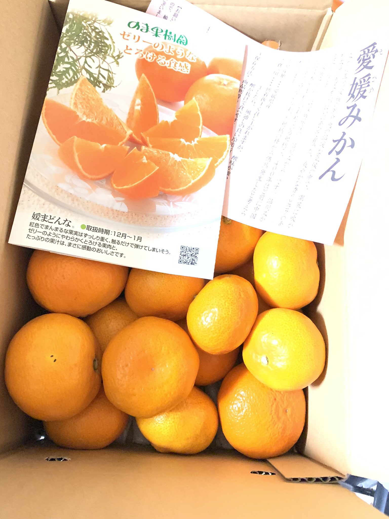 みかん様✩⋆確認専用ページ www.vetrepro.fr