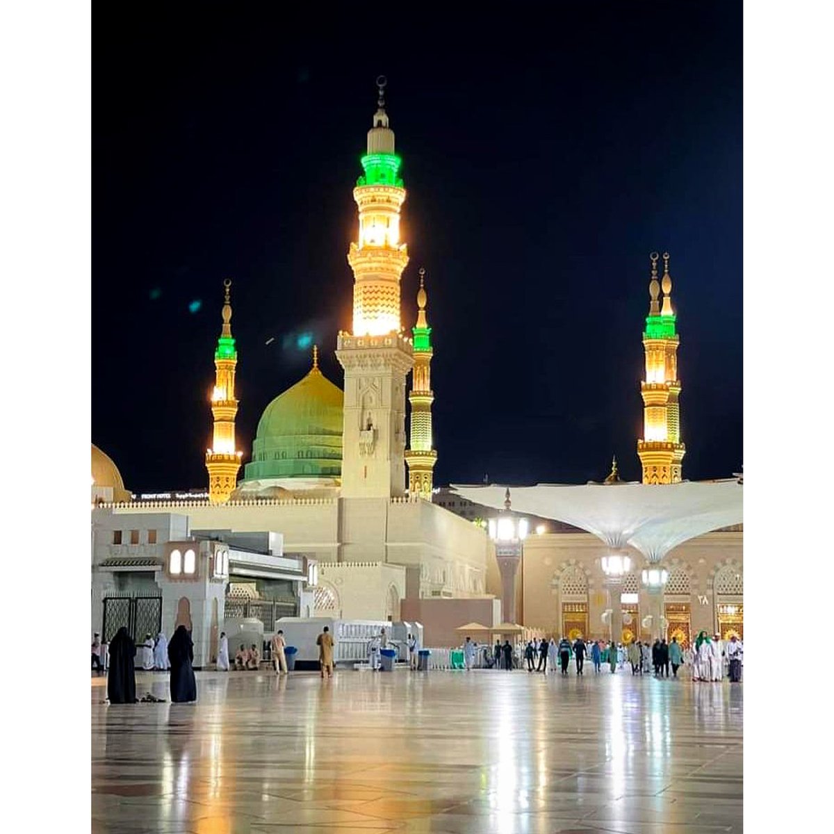 اللہ  پاک مدینہ پاک کی ہر مسلمان کو زیارت عطا فرما