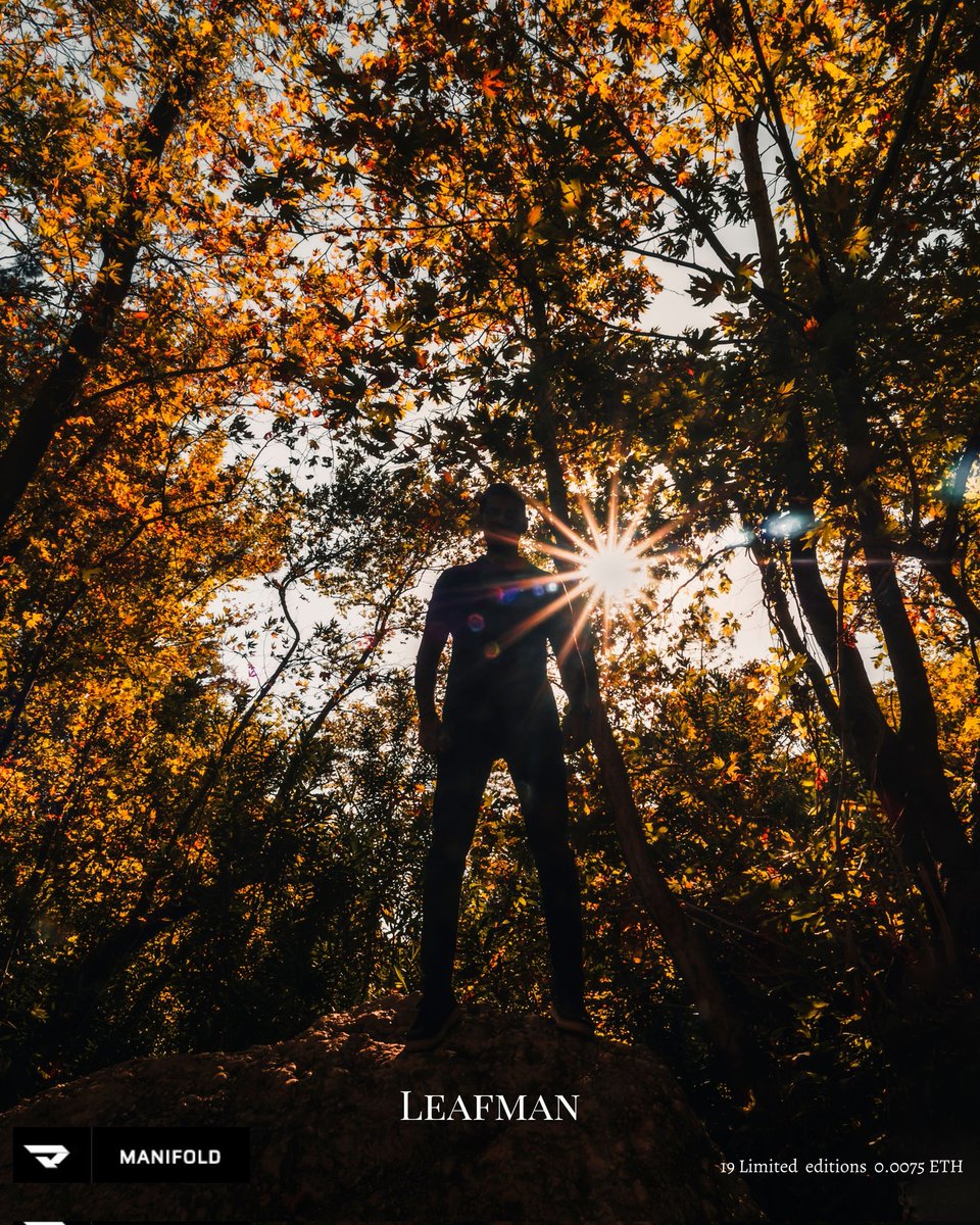 Erdem Kuybulu tweet media