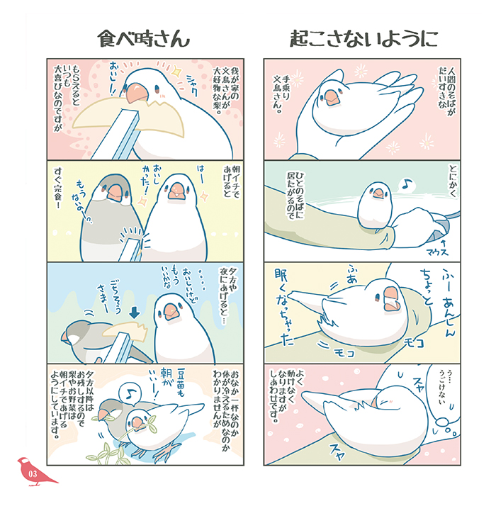 11/27COMITIAのお品書きです。スペースはO21a「非常階段」
新刊は「ペンギン日報 青」と「BUNCHOBOXおはな」の二種。タデアイ染めに挑戦するペンギンさんと文鳥さんのフルカラー漫画があります。その他文鳥さんグッズなど有。
どうぞよろしくお願いいたします!
#COMITIA142 #コミティア142 #COMITIA