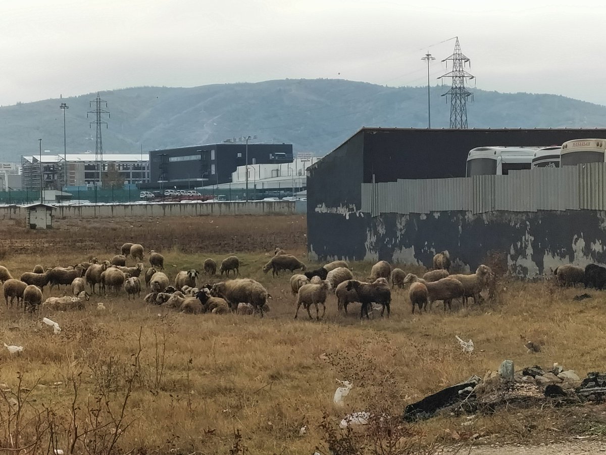 asgari ücretin yettiğini düşünenler derneği