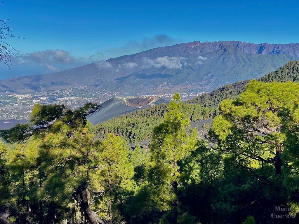 Otro mes más realizando censos🌲🌋🌲