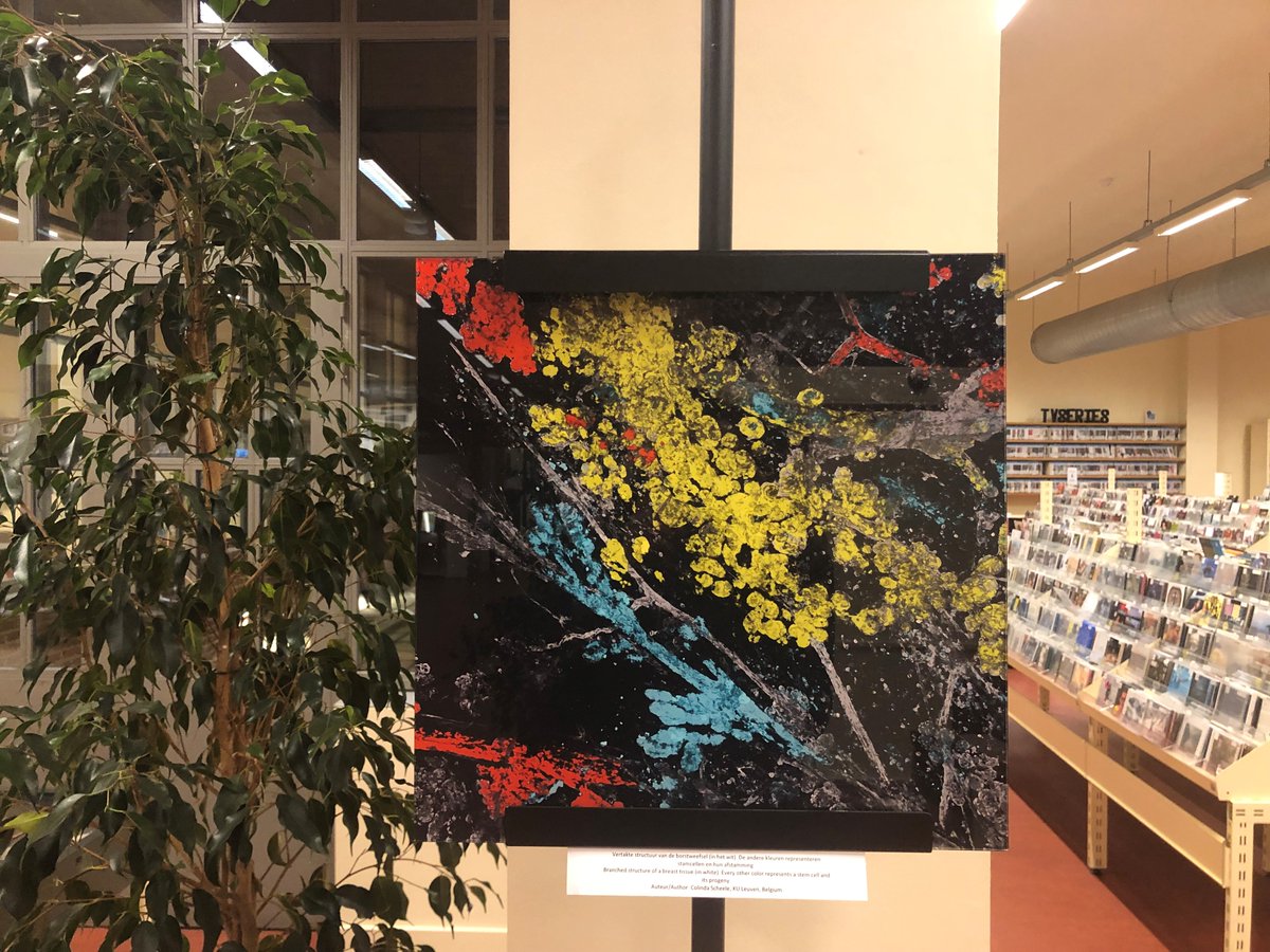 Colinda Scheele (@colindascheele) on Twitter photo Really cool to see our #microscopy pictures shine at the #ShineON expo at Bib Leuven <a href="/tweebronnen/">bib tweebronnen</a>
Thanks <a href="/DedeckerLab/">Dedecker Lab (dedeckerlab.bsky.social)</a> (<a href="/HanaValenta/">Hana Valenta (hanavalenta.bsky.social)</a> @BourgesAnais <a href="/FBierbuesse/">Franziska Bierbuesse</a> <a href="/Brandanium/">Brandán Pedre</a>) for organizing! 🤩 Really cool to see our #microscopy pictures shine at the #ShineON expo at Bib Leuven <a href="/tweebronnen/">bib tweebronnen</a>
Thanks <a href="/DedeckerLab/">Dedecker Lab (dedeckerlab.bsky.social)</a> (<a href="/HanaValenta/">Hana Valenta (hanavalenta.bsky.social)</a> @BourgesAnais <a href="/FBierbuesse/">Franziska Bierbuesse</a> <a href="/Brandanium/">Brandán Pedre</a>) for organizing! 🤩