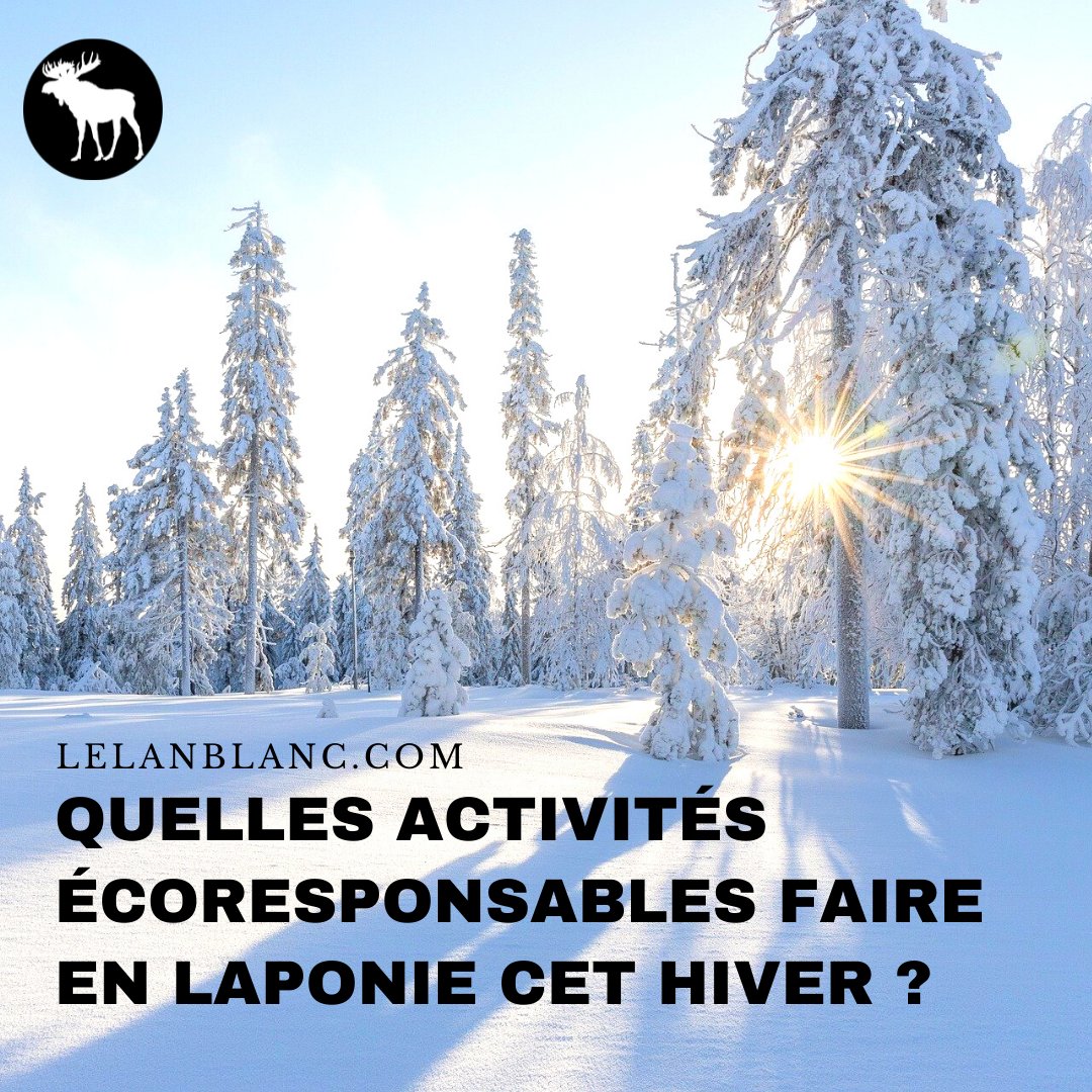 BlancElan's tweet photo. ⛄ Envie de chien de traineau, ski, dîner sous les aurores boréales, visite de l' #IceHotel
rencontre avec les #Samis, #sauna et gourmande #fika ?🛎 Ne tardez pas à me contacter car les trains et hébergements se remplissent très vite ! https://t.co/U9v1kkxPfQ https://t.co/AaJsUYah1p