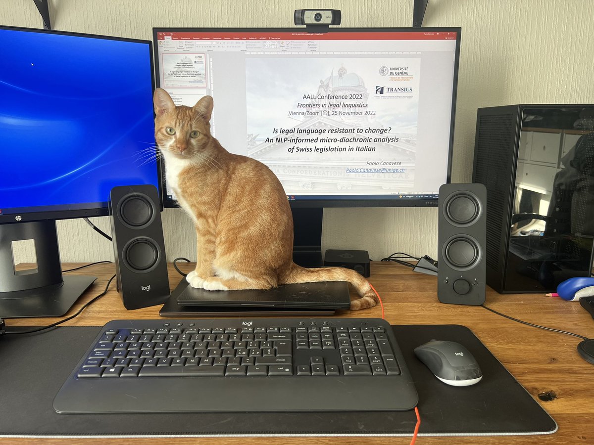 All set for my online presentation at the AALL2022 conference... With an unexpected onsite participant! 🧡