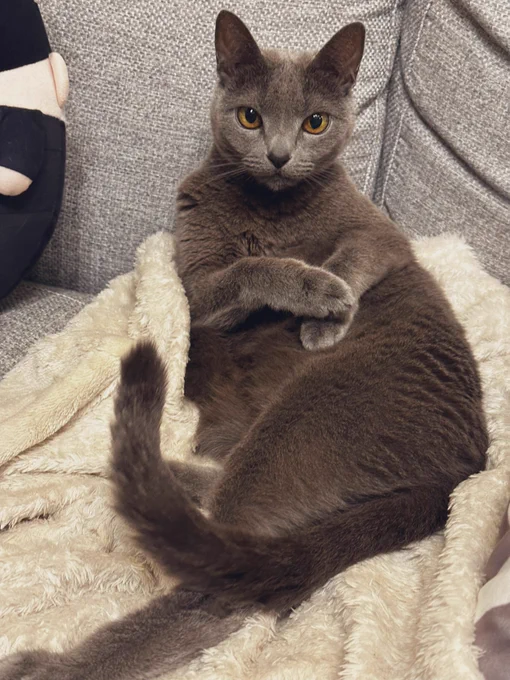 すごい優雅に座るやん 