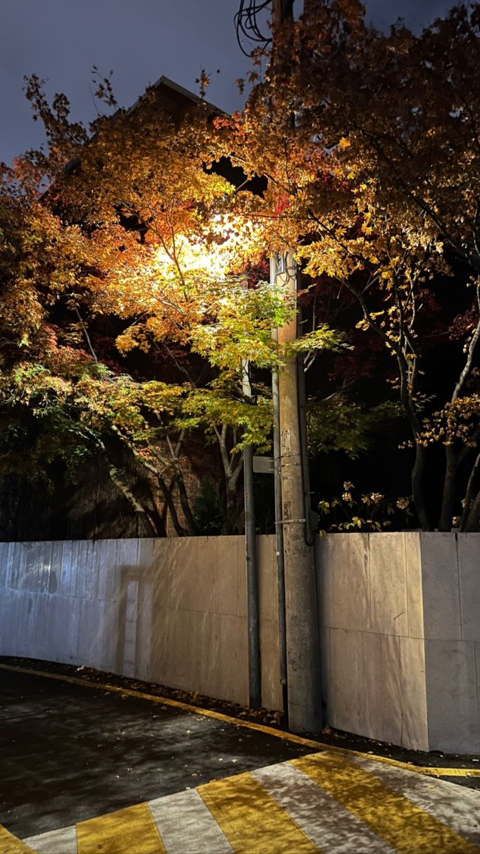 라임하루 limeharu tweet media