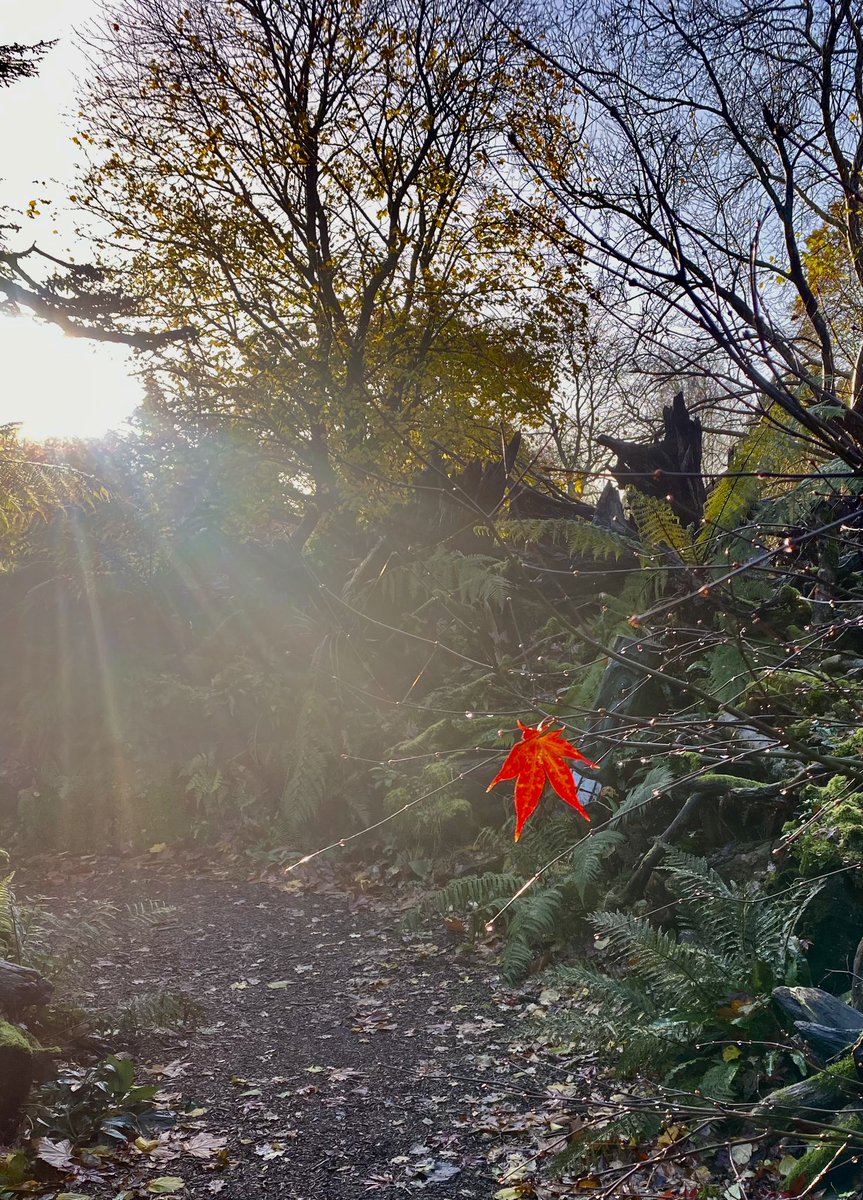 Hang on in there, my friend.