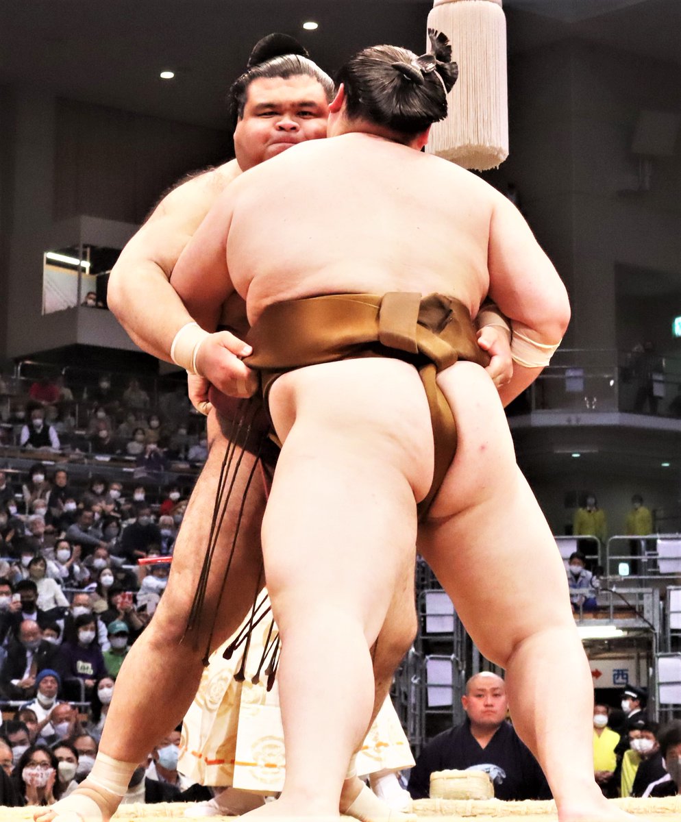 sumokyokai's tweet photo. ＜十三日目の様子＞
幕内取組。

髙安（１１勝２敗）　上手投げ　王鵬（１０勝３敗）
髙安は単独トップに。

#sumo #相撲 #九州場所 #十一月場所 https://t.co/M0h8GP1KNV