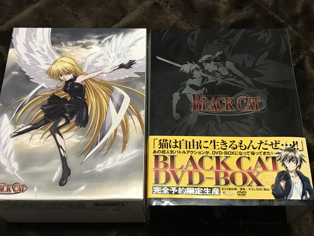 外箱一部日焼けあるけど3000円でブラックキャットのDVD-BOX買えたの
