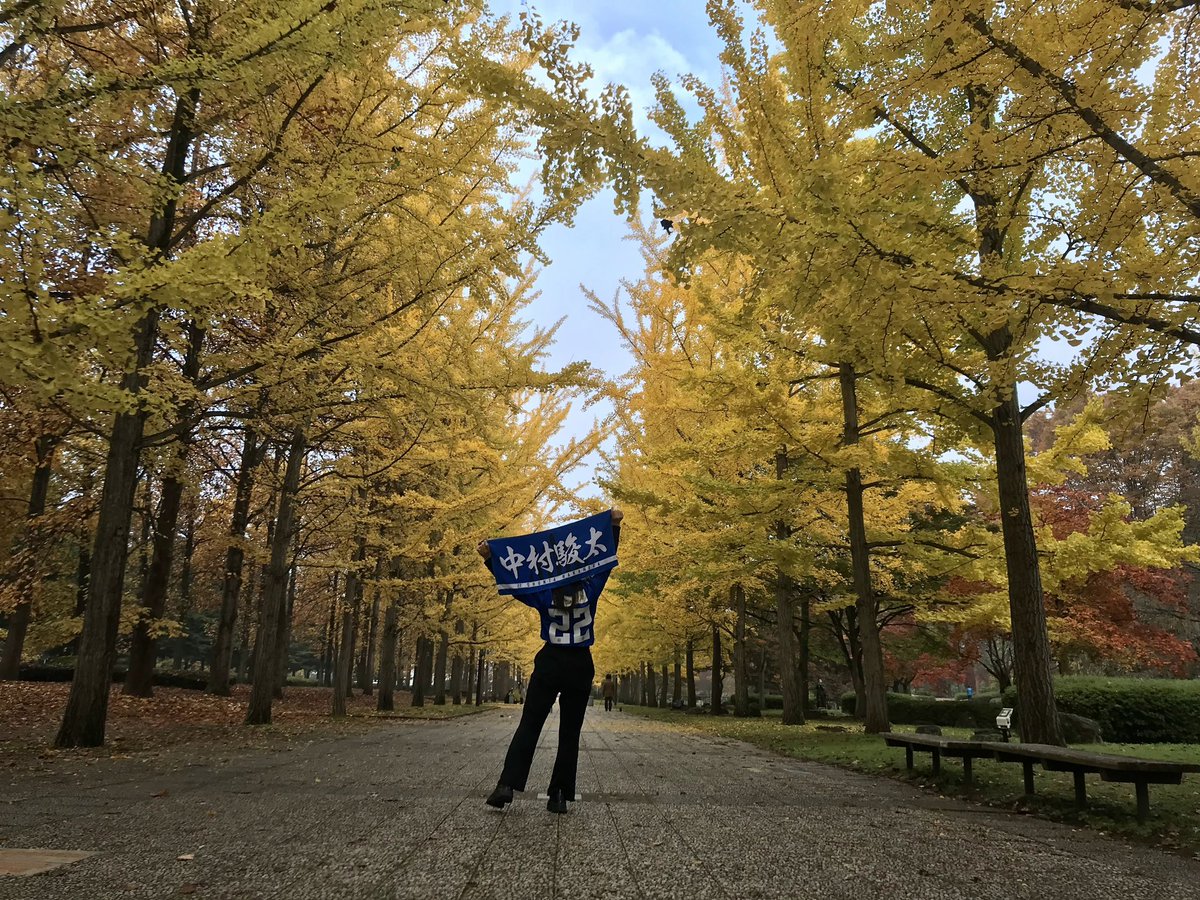 あすか tweet media