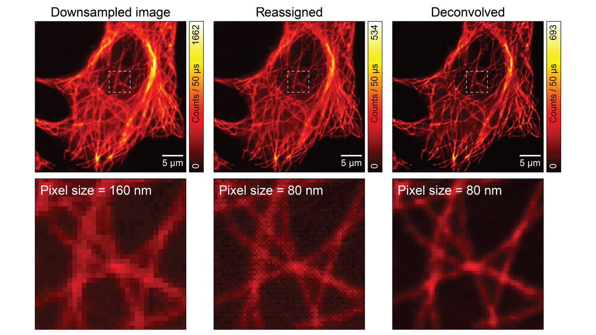 Alessandro Zunino tweet media