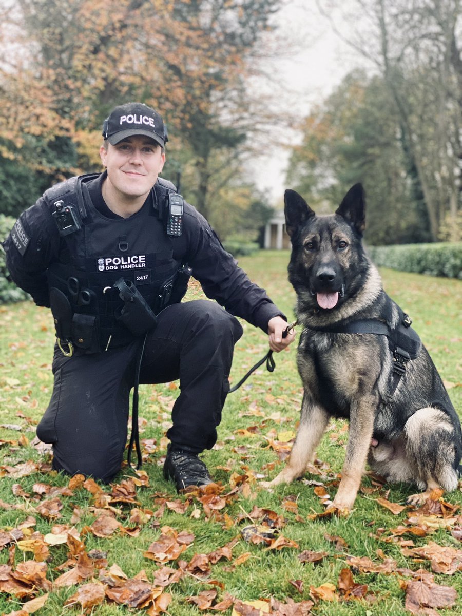 How Do I A Police Dog Trainer Uk
