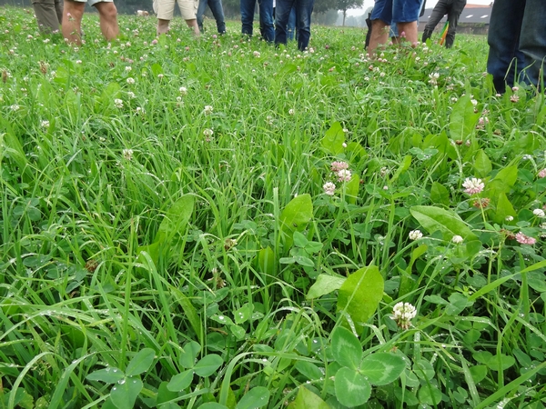 “Is grasland met veel #kruiden beter voor mijn #bodem?”. Jacco van Haaren, #melkveehouder in Millingen, wil weten waar hij staat. Daarom neemt hij deel aan het praktijkexperiment Productief #Kruidenrijk #Grasland.

vianatura.nl/biodiversiteit…

<a href="/provgelderland/">Provincie Gelderland</a>
<a href="/NatuurMilieuGld/">Natuur en Milieu Gelderland</a>