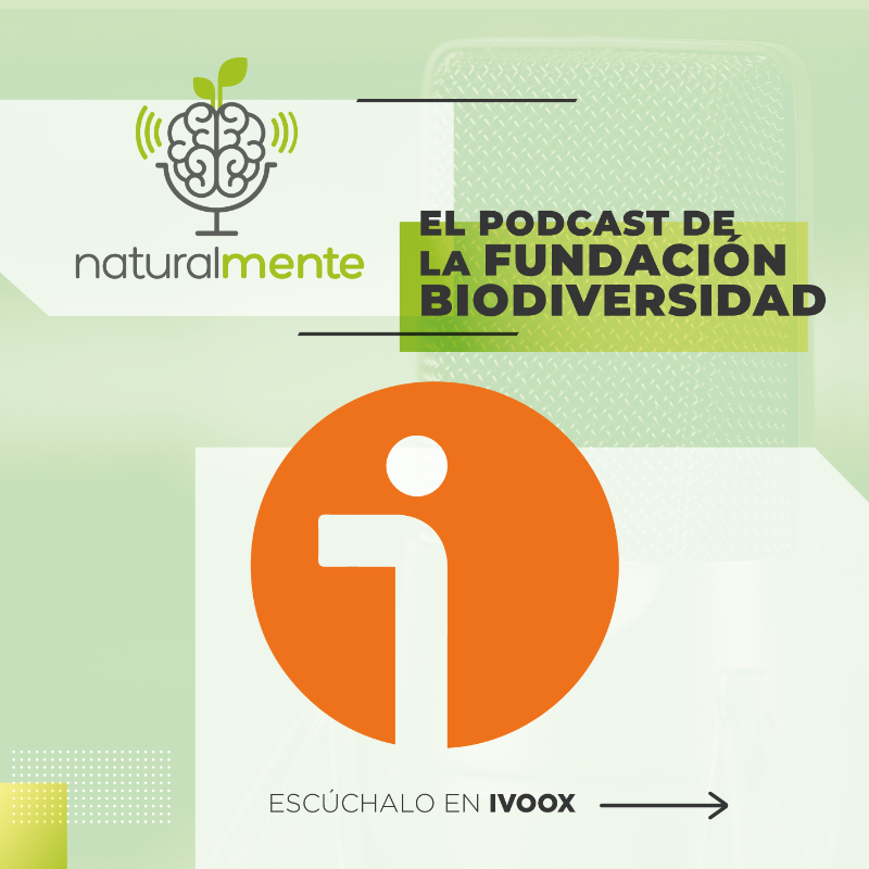 FBiodiversidad's tweet photo. Ya puedes escuchar la tercera entrega de #Naturalmente  🔝🔝

María Lafuente, referente de la moda sostenible, se define a si misma como "disoñadora" 🤩 y anima a la industria textil a ser parte de la solución y buscar alternativas más eficientes y respetuosas con la naturaleza.