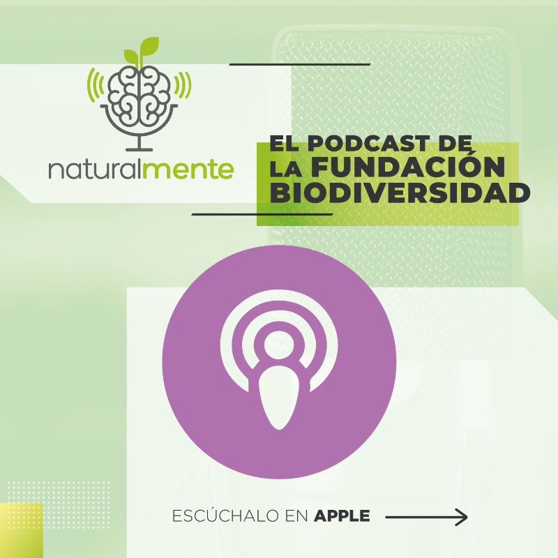 FBiodiversidad's tweet photo. Ya puedes escuchar la tercera entrega de #Naturalmente  🔝🔝

María Lafuente, referente de la moda sostenible, se define a si misma como "disoñadora" 🤩 y anima a la industria textil a ser parte de la solución y buscar alternativas más eficientes y respetuosas con la naturaleza.