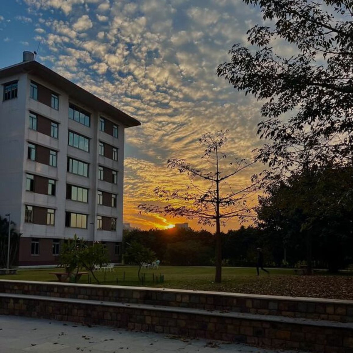 ISBedu's tweet photo. A picture-perfect end to the day!
📸Paras Pasricha
#ISB #isbmohalicampus #MoTown #lifeatisb https://t.co/O01Feuwhor