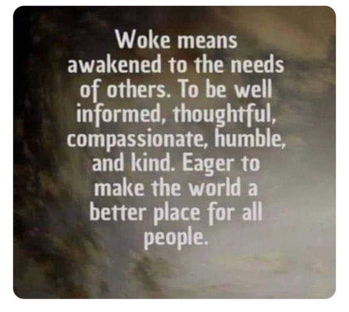 <a href="/elonmusk/">Elon Musk</a> <a href="/getpaidwrite/">James Carran</a> What is the opposite of “woke”? ASLEEP! Sorry, I would rather walk around with my eyes open than have someone else tell me what I should or should not see.