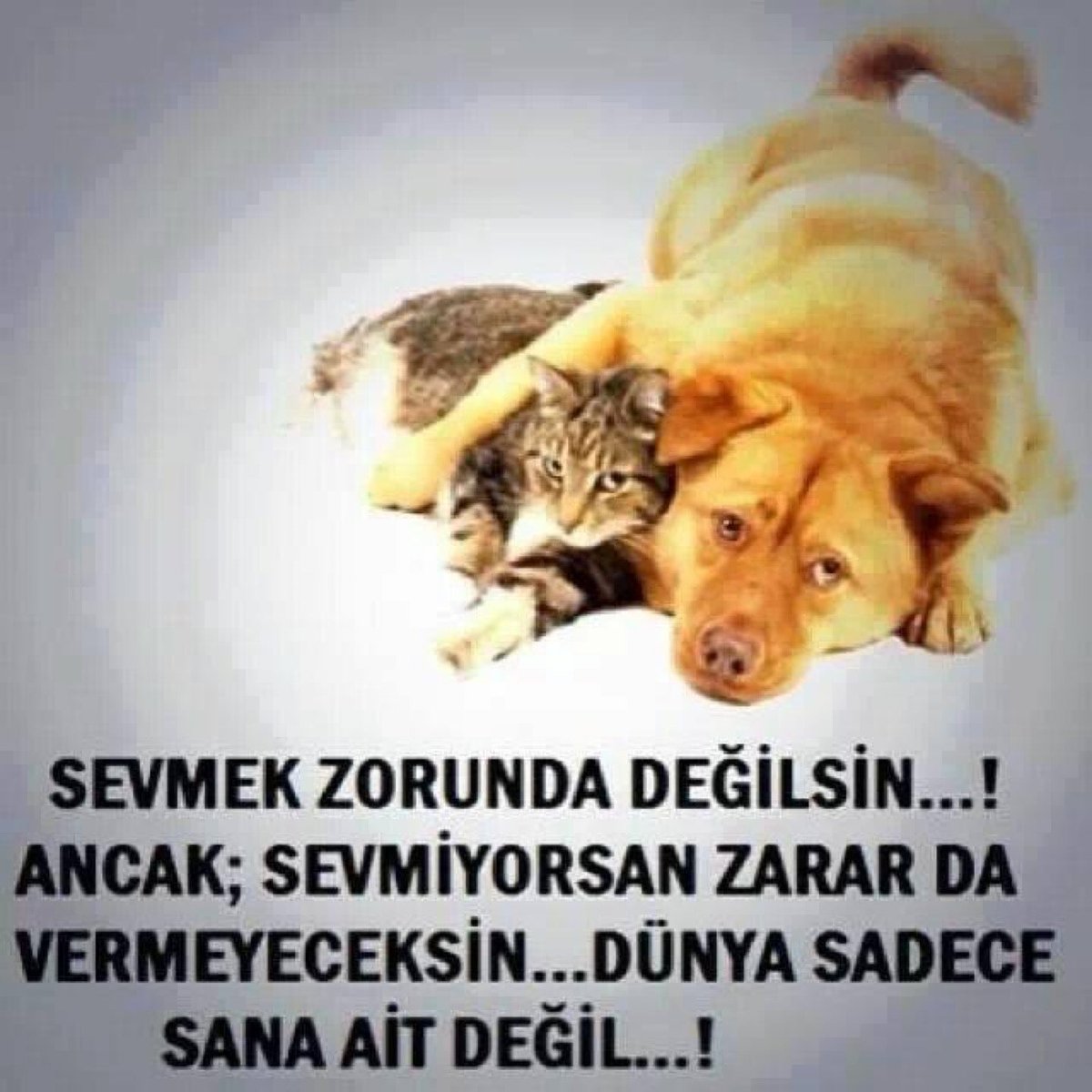 I'm at Yerle Gök Arasında in Denizli swarmapp.com/c/9jfxEo0mP33