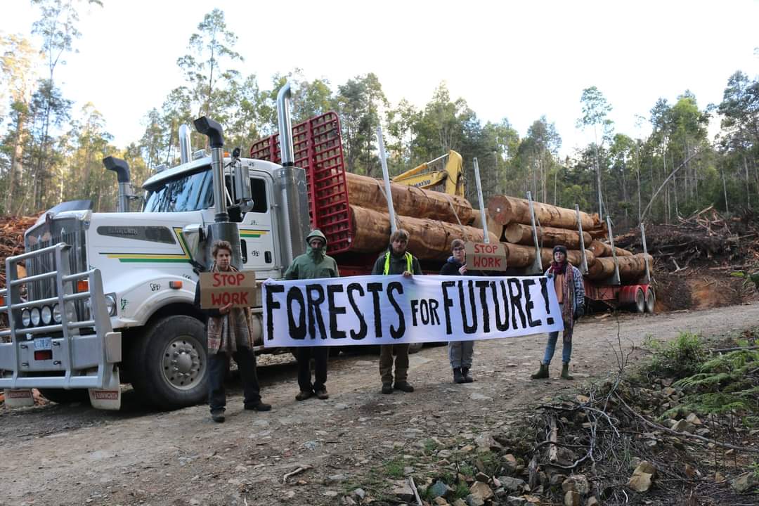 JohnPerkins2011's tweet image. Everything about native forest logging stinks to high heaven. It is absolutely insane to be logging native forests. Our native forests should be managed for the ecosystem services they are best at providing - water catchment protection, wildlife habitat and carbon store.