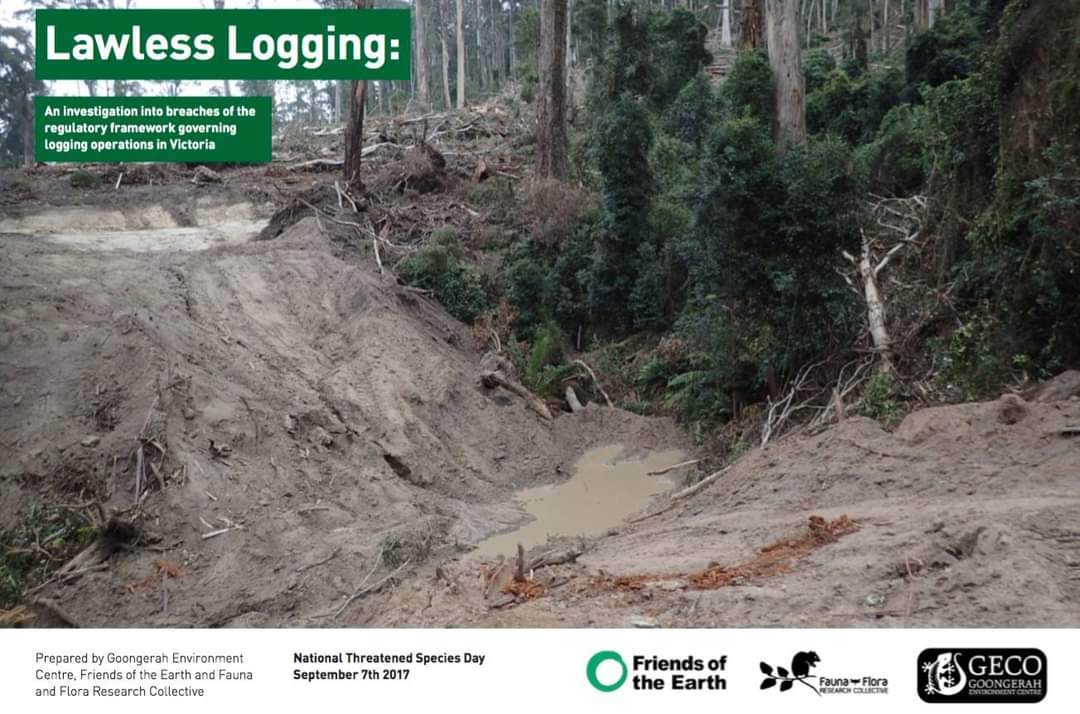JohnPerkins2011's tweet image. Everything about native forest logging stinks to high heaven. It is absolutely insane to be logging native forests. Our native forests should be managed for the ecosystem services they are best at providing - water catchment protection, wildlife habitat and carbon store.