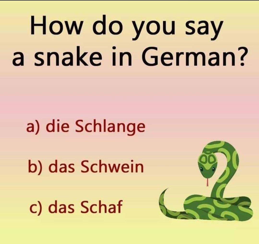 deutschlernenx's tweet photo. VOKABELN
#germany #learngerman #lerngerman https://t.co/XvlR1ygzCV