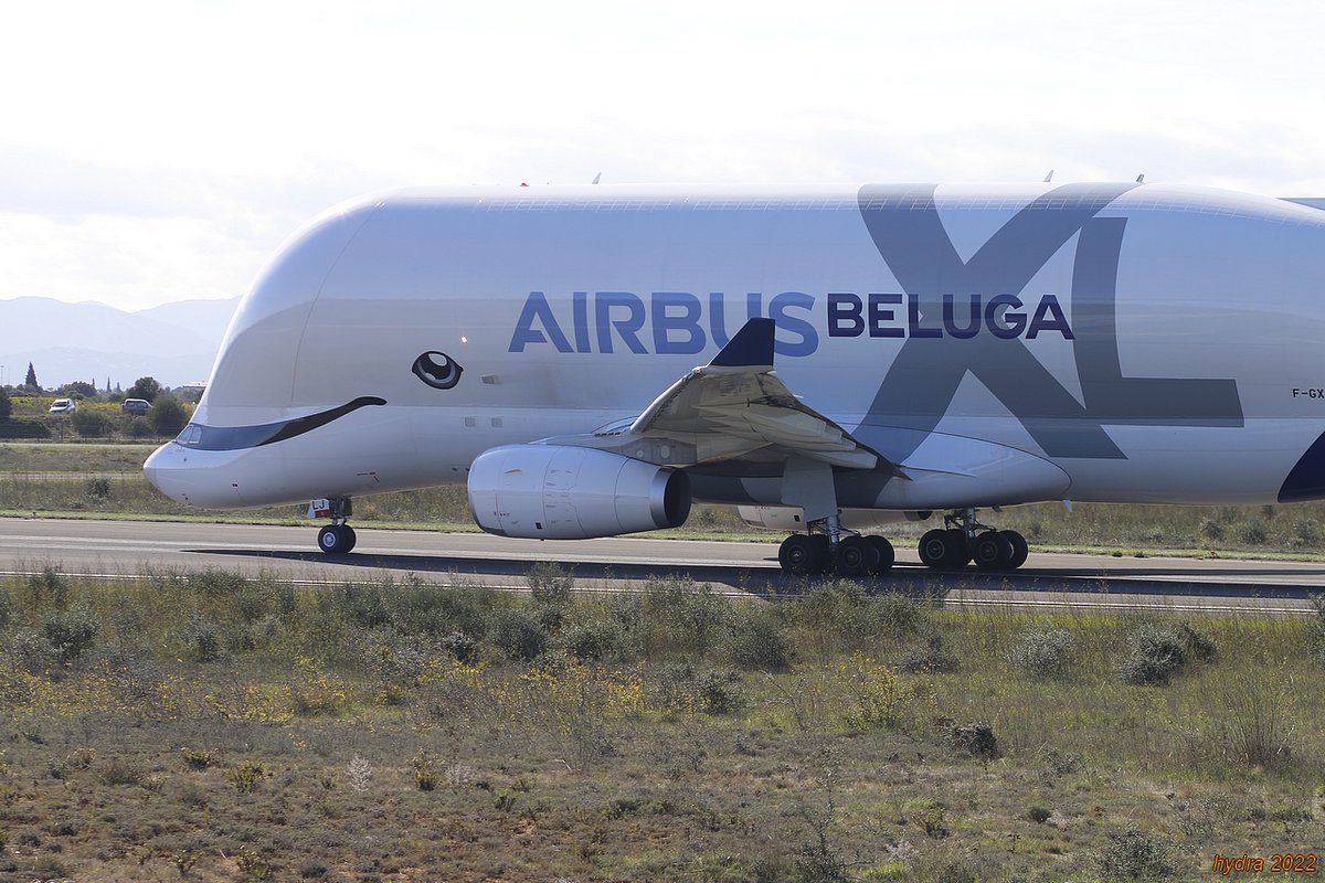 tous les airs y sont tweet media