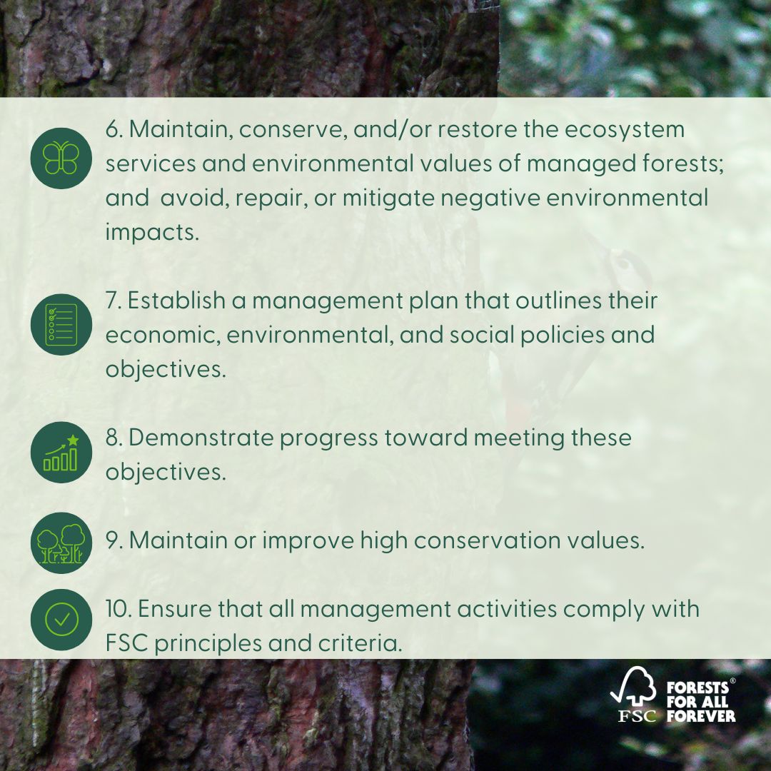 FSCUK's tweet photo. As the pioneer of #forest certification, FSC sets the standard for responsible forest stewardship ✅ 
FSC’s ten principles are the foundation of our forestry standard, which managers and owners of certified #forests must follow 👉 https://t.co/Hgi2MJ8kAe 

#ForestsForAllForever https://t.co/8R9SIFgxtV