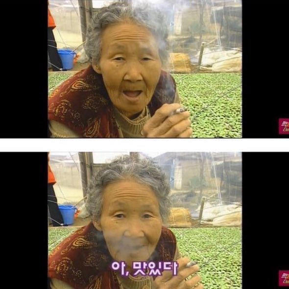jellybloomfish's tweet photo. 기분이 않조은 견우... https://t.co/jQVWw6xEKg